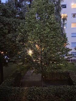 20250910_201341.jpg