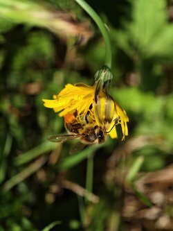 IMG_20250910_161616.jpg