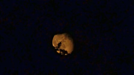 PXL_20250911_190645496~2.jpg