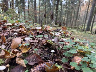 IMG_8915 2.jpeg IMG_8915 2.jpeg