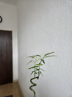 20250912_105316.jpg
