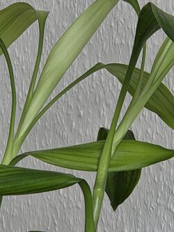 20250912_105245.jpg