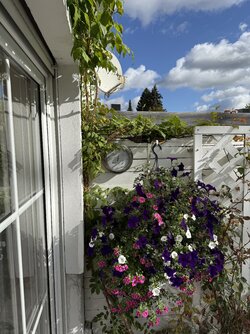 iPhone 16 pro.jpeg iPhone 16 pro.jpeg