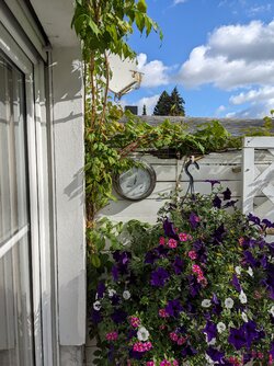 Pixel 4a 5G.jpg Pixel 4a 5G.jpg