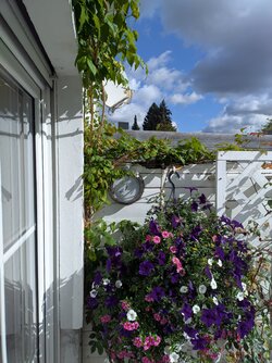 Moto Edge 30 neo Gcam.jpg Moto Edge 30 neo Gcam.jpg