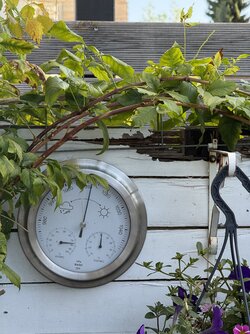 iPhone 16 pro.jpeg iPhone 16 pro.jpeg