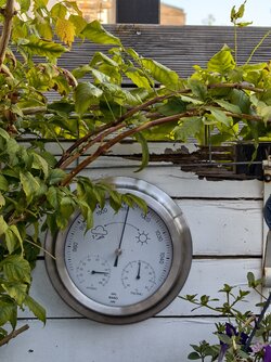 Vivo X200 FE.jpg Vivo X200 FE.jpg