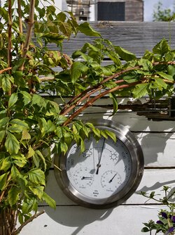 Vivo X200 FE ohne Tele-Optimierung.jpg Vivo X200 FE ohne Tele-Optimierung.jpg