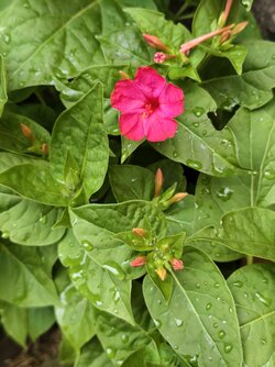 IMG_20250828_192513.jpg