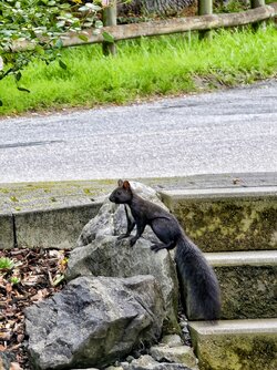 IMG_20250911_185911.jpg