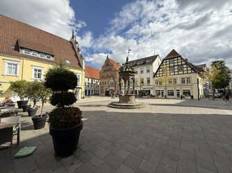 iPhone 16 pro.jpeg iPhone 16 pro.jpeg