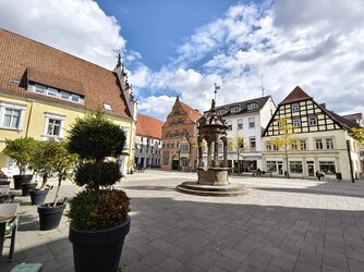 Vivo X200 FE.jpg Vivo X200 FE.jpg