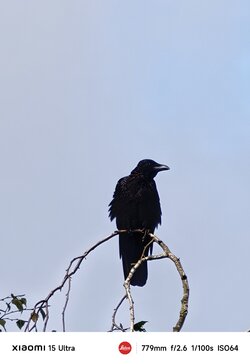 IMG_20250912_100706.jpg