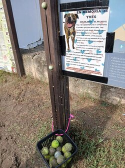 IMG-20250912-WA0000(1).jpg