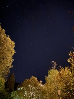 IMG_9893 2.jpeg