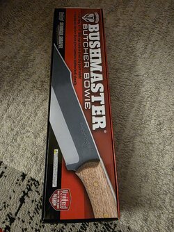 20250912_170737.jpg