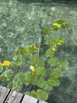 IMG_0678.jpeg