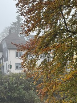 IMG_9597 2.jpeg