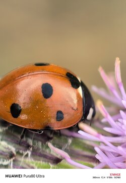 IMG_20250913_075555.jpg