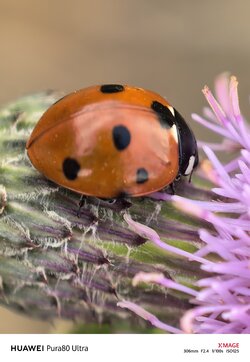 IMG_20250913_075538.jpg