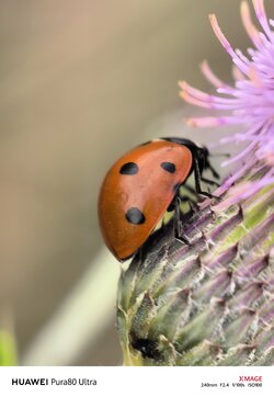 IMG_20250913_075424.jpg