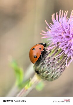 IMG_20250913_075415.jpg