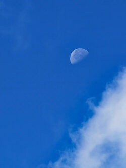 IMG_20250913_110455.jpg