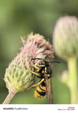 IMG_20250913_134810.jpg