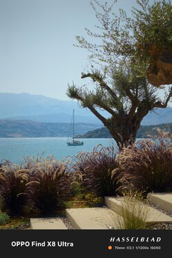 IMG_20250913_164736.jpg