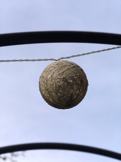 IMG_20250913_170006848.jpg