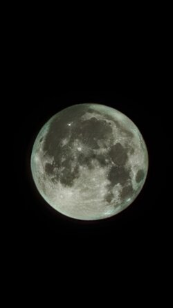 IMG_20250809_024333753.jpg