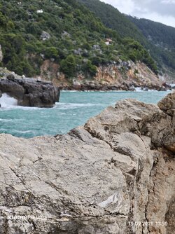 IMG_20250913_115042.jpg