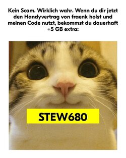 fraenk-for-friends-code-stew680 2.jpeg