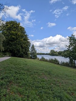 PXL_20250913_131942986.jpg