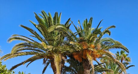 Screenshot_20250913_221207_Gallery.jpg Screenshot_20250913_221207_Gallery.jpg