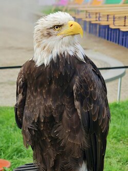 IMG_20250914_114639.jpg