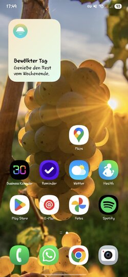 Screenshot_20250914_174903_One UI Home.jpg