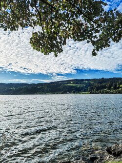 IMG_20250914_175405158~2.jpg