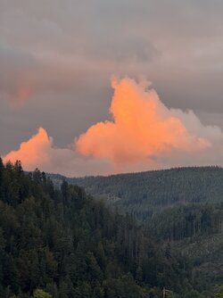 IMG_6447 2.jpeg