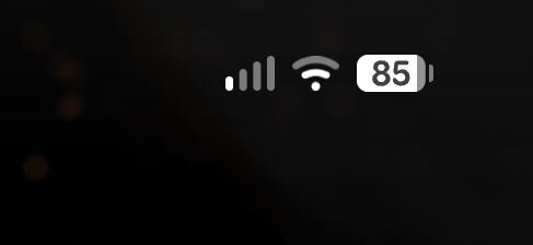1000019462.jpg