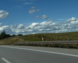 IMG_3163.jpeg