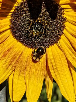 IMG_20250915_164348726~2.jpg
