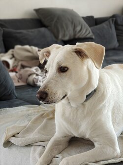 IMG_20250915_164734743~2.jpg
