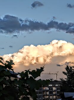 IMG_20250915_191720188~2.jpg