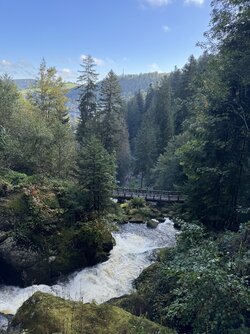 IMG_5317 2.jpeg