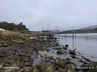 IMG_20250915_164311.jpg