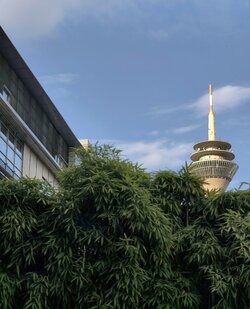 IMG_20250915_182817.jpg