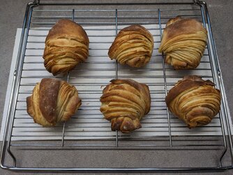 Croissants.jpg