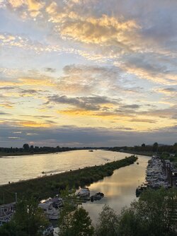 IMG_20250910_195041.jpg