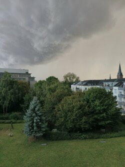IMG_20250911_183039.jpg